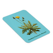 Leuchter auf blau magnet (Rechte Seite)