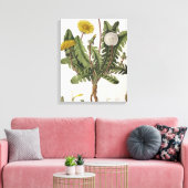 Leuchter (Farbgravur) Leinwanddruck (Insitu (Wohnzimmer))