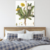 Leuchter (Farbgravur) Leinwanddruck (Insitu (Schlafzimmer))