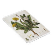 Leuchter (Farbgravur) Magnet (Rechte Seite)