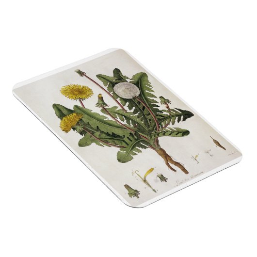 Leuchter (Farbgravur) Magnet (Rechte Seite)