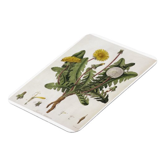 Leuchter (Farbgravur) Magnet (Linke Seite)