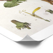 Leuchter (Farbgravur) Poster (Ecke)