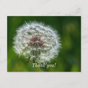Leuchter im Licht Danke Postkarte