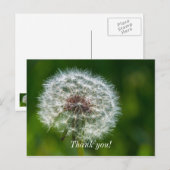 Leuchter im Licht Danke Postkarte (Vorne/Hinten)