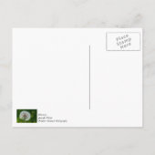 Leuchter im Licht Danke Postkarte (Rückseite)