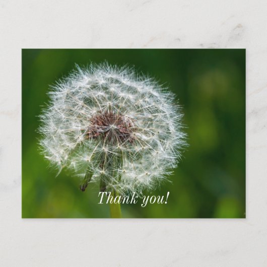 Leuchter im Licht Danke Postkarte (Vorderseite)
