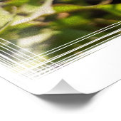 Leuchter im Sonnenlicht Fotodruck (Ecke)