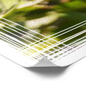 Leuchter im Sonnenlicht Poster (Ecke)