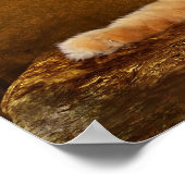 Leuchtkatze Poster (Ecke)