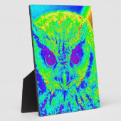 Leuchtkauz Fotoplatte (Seite)