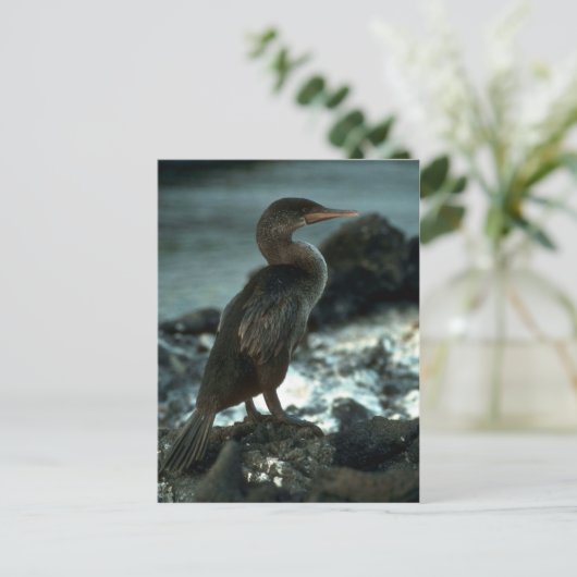 Leuchtloser Kormoran Postkarte (Stehend Vorderseite)