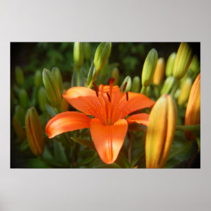 Leuchtorange Poster