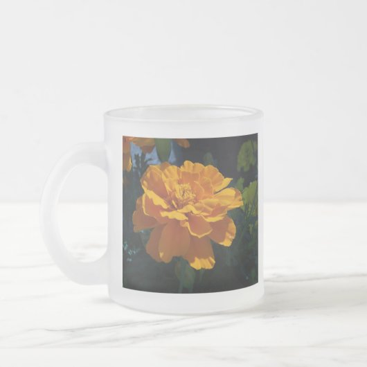 Leuchtorange-Ringelblume Mattglastasse (Links)