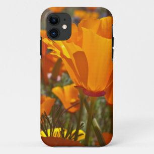 Leuchtorangekalifornien-Mohnblumen Case-Mate iPhone Hülle