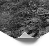 Leuchtstation Curtis Island Poster (Ecke)