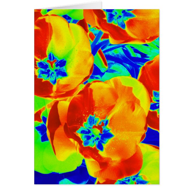 Leuchtstofftulips (Vorne)
