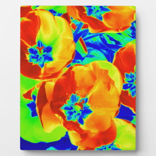 Leuchtstofftulips Fotoplatte