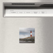 Leuchtturm am Beagle Magnet (In Situ (Geschirrspüler))