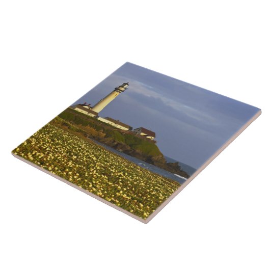 Leuchtturm am Pigeon Point Staat Beach in San Fliese (Seite)