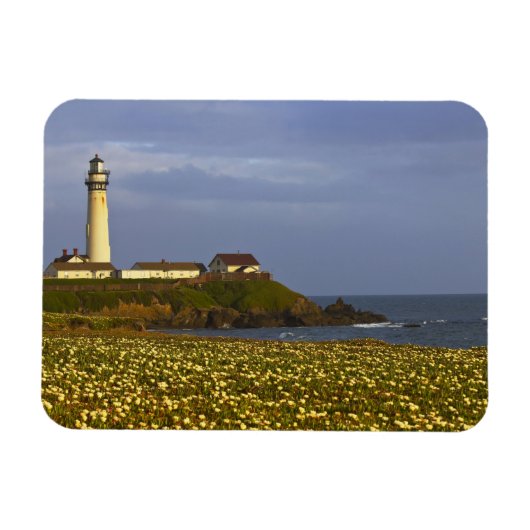 Leuchtturm am Pigeon Point Staat Beach in San Magnet (Horizontal)