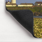 Leuchtturm am Pigeon Point Staat Beach in San Mousepad (Ecke)