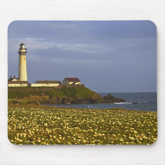 Leuchtturm am Pigeon Point Staat Beach in San Mousepad (Vorne)