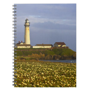 Leuchtturm am Pigeon Point State Beach in San Notizblock