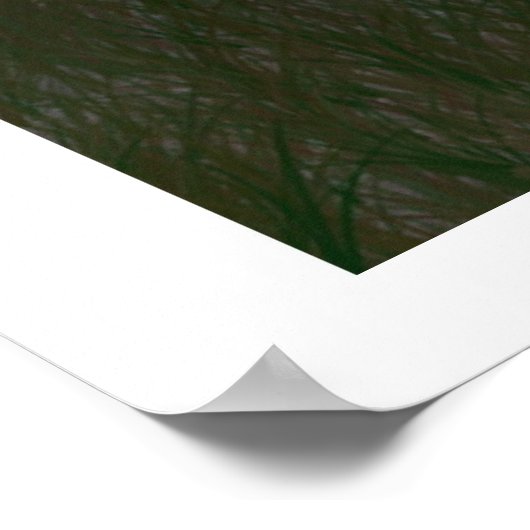 Leuchtturm an der Bucht Poster (Ecke)