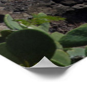 Leuchtturm an der Küste, Hawaii Poster (Ecke)