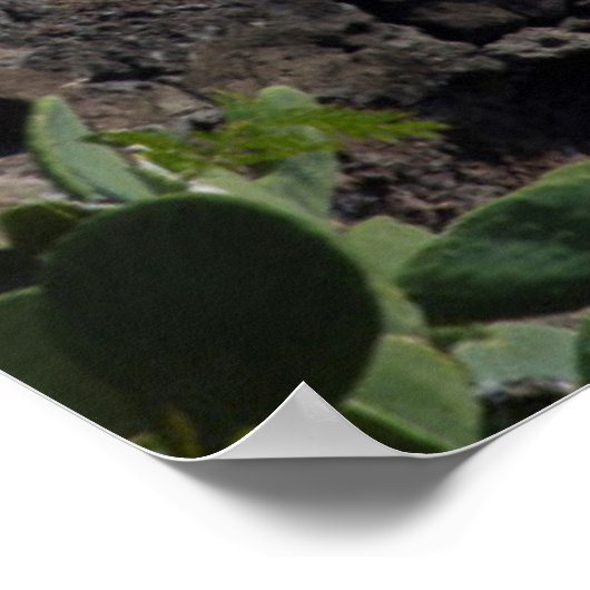 Leuchtturm an der Küste, Hawaii Poster (Ecke)