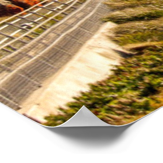 Leuchtturm an Point Reyes National Seashore Poster (Ecke)