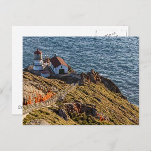 Leuchtturm an Point Reyes National Seashore Postkarte (Vorne/Hinten)