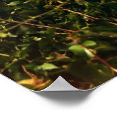 Leuchtturm Cape Henry Poster (Ecke)