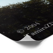 Leuchtturm, Cape May, NJ Poster (Ecke)