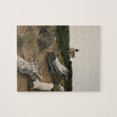 Leuchtturm Coquille River, OR Puzzle (Horizontal)