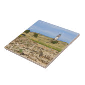 Leuchtturm für Wasserfarben Fliese (Seite)