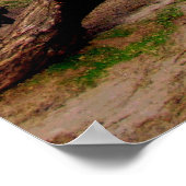 Leuchtturm in Port Isabel, Tx. Poster (Ecke)