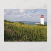 Leuchtturm in St. Martins, New Brunswick, Postkarte (Vorderseite)