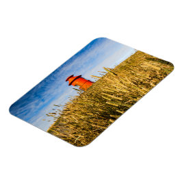 Leuchtturm in Stykisholmur, Island Magnet