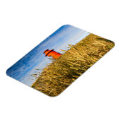 Leuchtturm in Stykisholmur, Island Magnet (Linke Seite)