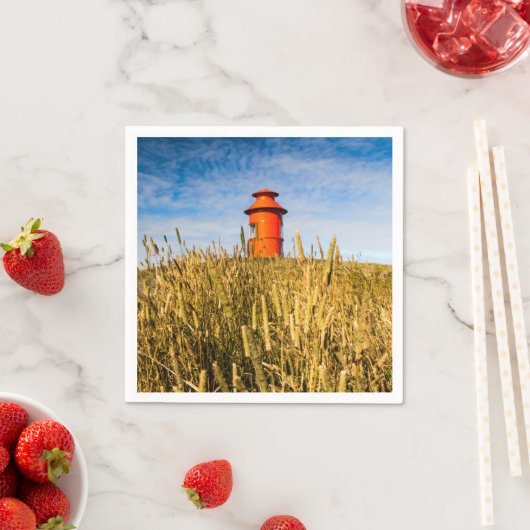 Leuchtturm in Stykisholmur, Island Serviette (Beispiel)