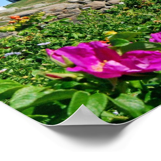 Leuchtturm, Kap Neddick, Maine Poster (Ecke)