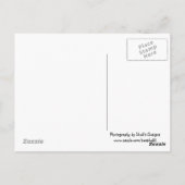 Leuchtturm - Kauai, Hawaii Postkarte (Rückseite)