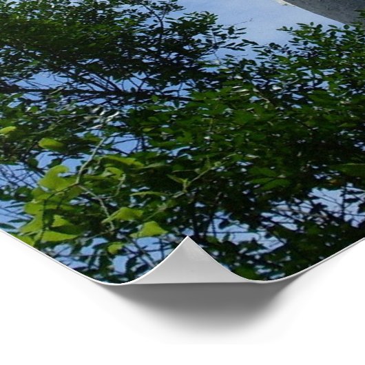 Leuchtturm St. Augustine Poster (Ecke)