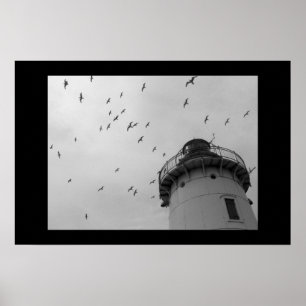 Leuchtturm von Cleveland und Gulls bw. Druck Poster