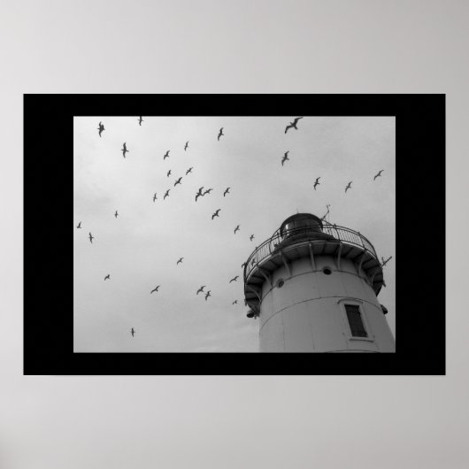 Leuchtturm von Cleveland und Gulls bw. Druck Poster (Vorne)