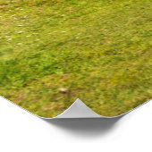 Leuchttürme | Fanad Head Lighthouse Irland Poster (Ecke)