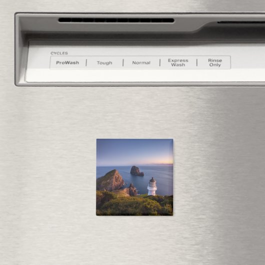 Leuchttürme | Lighthouse Cape Brett Neuseeland Magnet (In Situ (Geschirrspüler))