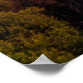 Leuchttürme | Lighthouse Cape Brett Neuseeland Poster (Ecke)